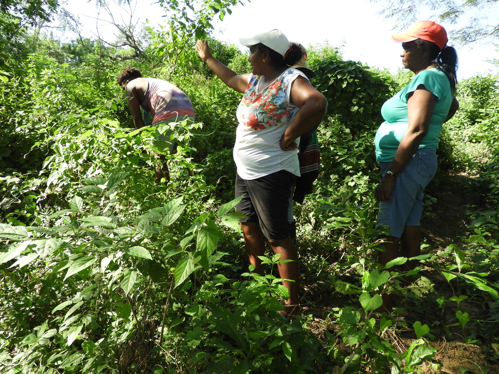 2021-10_mujeres-Montes-de-María
