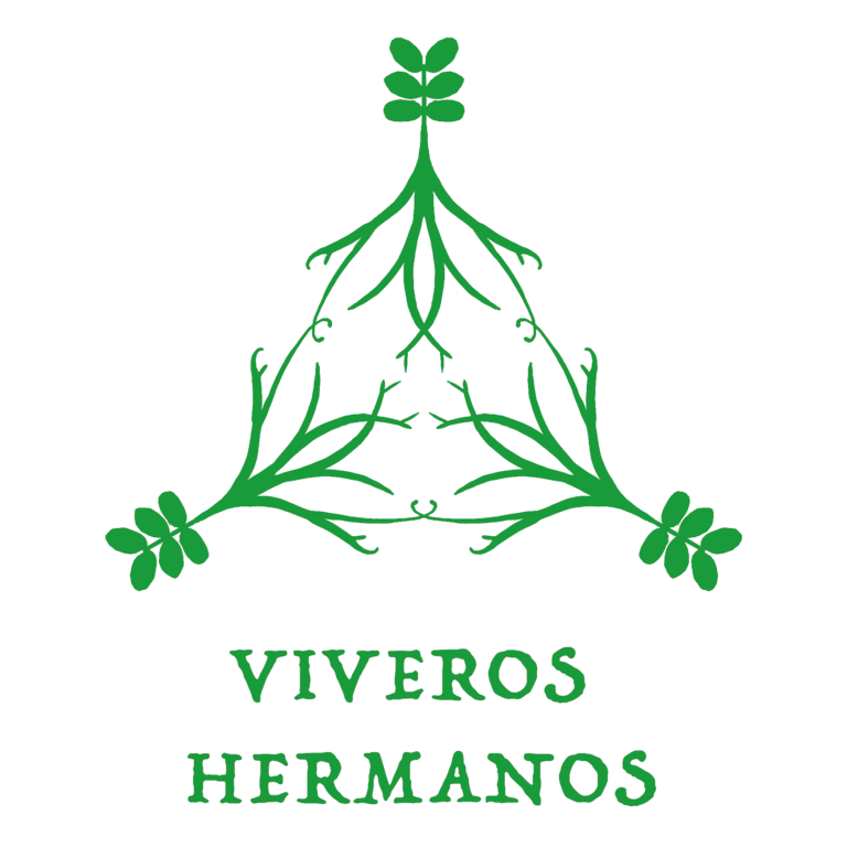 2023-09_Logo_VH_verde-transparente-2-2