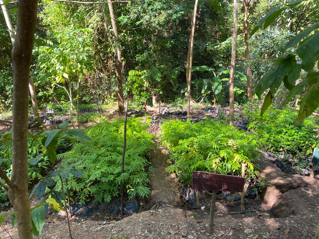 2024-02_WhatsApp-Image-2024-02-21-at-16.41.17