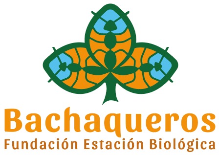 logo letra naranja